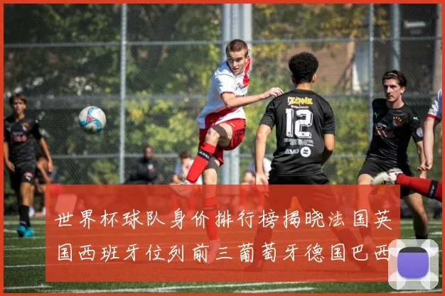 世界杯球队身价排行榜揭晓法国英国西班牙位列前三葡萄牙德国巴西身价均超九亿欧元