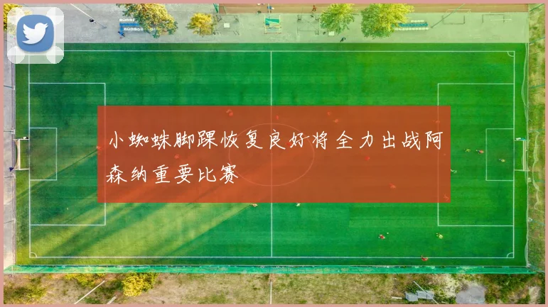 小蜘蛛脚踝恢复良好将全力出战阿森纳重要比赛